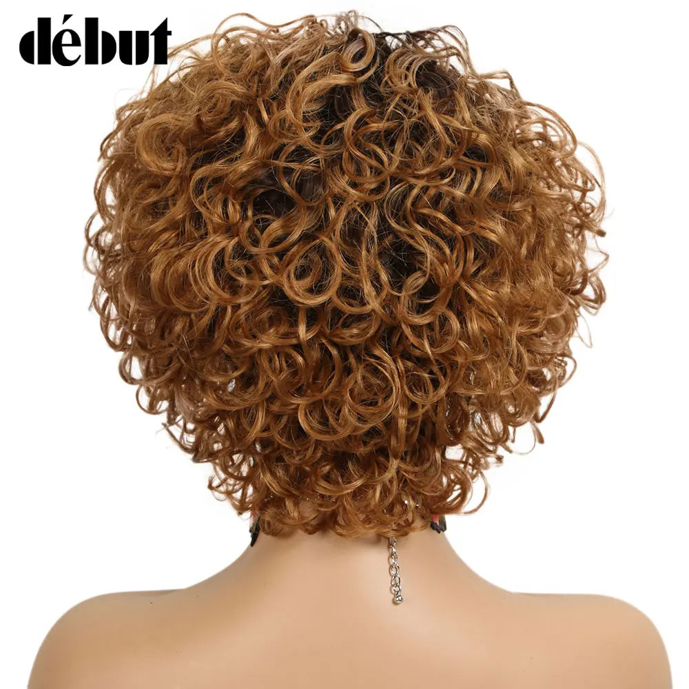 Ombre Short Curly Human Hair Wigs Remy Short Bob Wigs 100% Human Hair Cheap Pixie Cut Human Hair Full Wigs